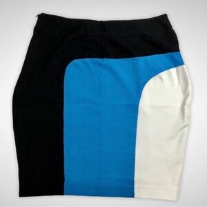 Ann Taylor Petite Womens Color Block Pencil Skirt Stretchy Side Zipper Size 4P!